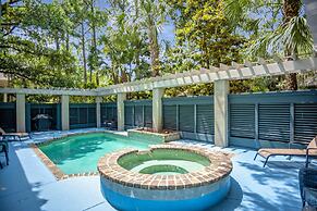 2 Belted Kingfisher at The Sea Pines Resort