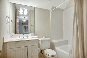 2 Belted Kingfisher at The Sea Pines Resort