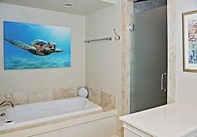 2 Grey Widgeon at The Sea Pines Resort