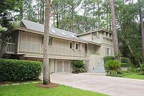 2 Grey Widgeon at The Sea Pines Resort