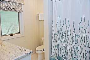 2 Grey Widgeon at The Sea Pines Resort