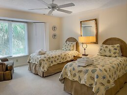 3 Spotted Sandpiper at The Sea Pines Resort