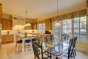 5 Laughing Gull at The Sea Pines Resort