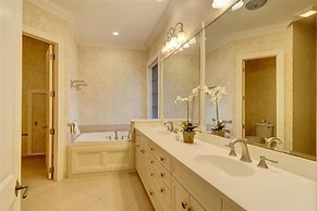 5 Laughing Gull at The Sea Pines Resort