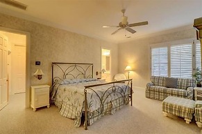 5 Laughing Gull at The Sea Pines Resort