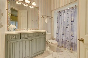 5 Laughing Gull at The Sea Pines Resort