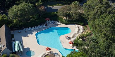 5 Laughing Gull at The Sea Pines Resort