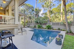 5 Laughing Gull at The Sea Pines Resort