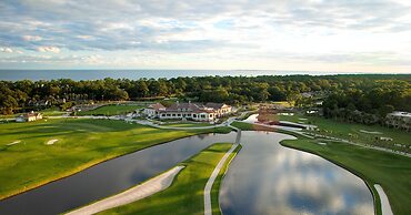 5 Laughing Gull at The Sea Pines Resort