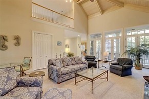 5 Laughing Gull at The Sea Pines Resort