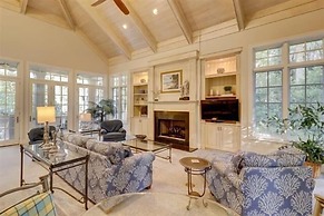 5 Laughing Gull at The Sea Pines Resort