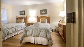 8 Ruddy Turnstone at The Sea Pines Resort