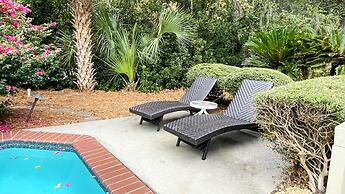 8 Ruddy Turnstone at The Sea Pines Resort