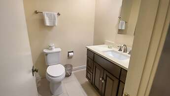 8 Ruddy Turnstone at The Sea Pines Resort