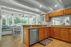 8 Wood Ibis at The Sea Pines Resort