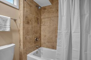 8 Wood Ibis at The Sea Pines Resort