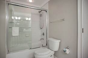 9 Green Heron at The Sea Pines Resort