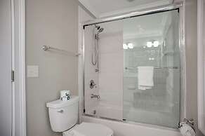 9 Green Heron at The Sea Pines Resort