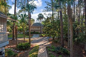 9 Laughing Gull at The Sea Pines Resort