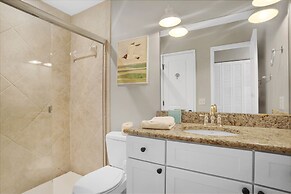 9 Laughing Gull at The Sea Pines Resort