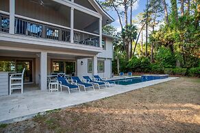 9 Laughing Gull at The Sea Pines Resort