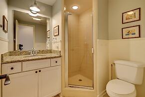 9 Laughing Gull at The Sea Pines Resort