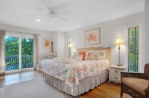 9 Laughing Gull at The Sea Pines Resort