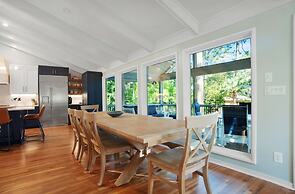 9 Laughing Gull at The Sea Pines Resort