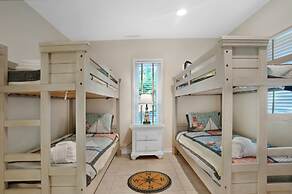 9 Laughing Gull at The Sea Pines Resort