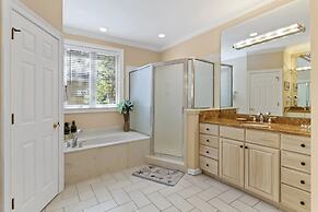 9 Piping Plover at The Sea Pines Resort