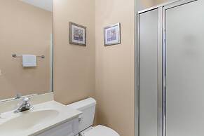 9 Piping Plover at The Sea Pines Resort