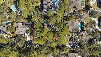 9 Piping Plover at The Sea Pines Resort