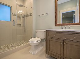 10 Laughing Gull at Sea Pines Resort