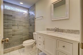 12 Black Tern at The Sea Pines Resort