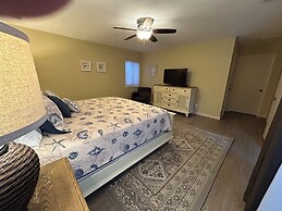 20 Ruddy Turnstone at The Sea Pines Resort