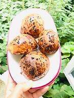 Adadaki Evimiz Bozcaada