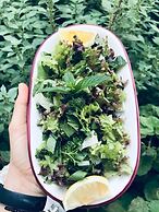 Adadaki Evimiz Bozcaada