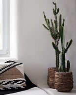 El Sueno Villa Mykonos