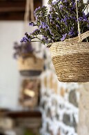 Elia Woodstone Houses