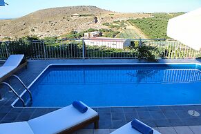 Elia Woodstone Houses