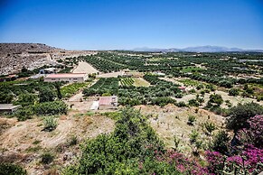 Elia Woodstone Houses