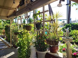 Barefoot Mailman Inn & Suites