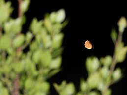 Remarkable 3double-bed House in Daskalio