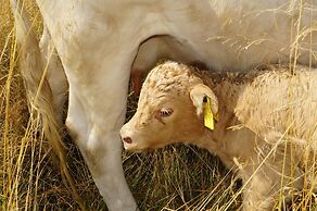 Waldhotel Boizenburg