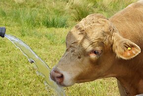 Waldhotel Boizenburg