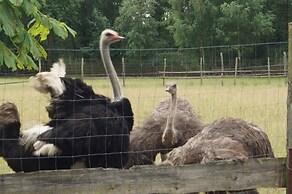 Waldhotel Boizenburg