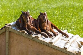 Honeysuckle Farm Hut 4 - Suffolk Farm Holidays