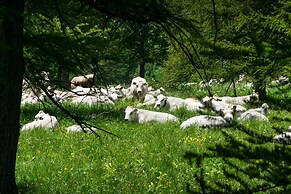 Baita La Ciaburna (skiing nearby)