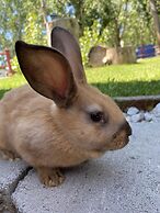 Columbia Point Resort