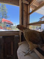 Columbia Point Resort